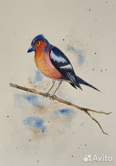 Картина Зяблик