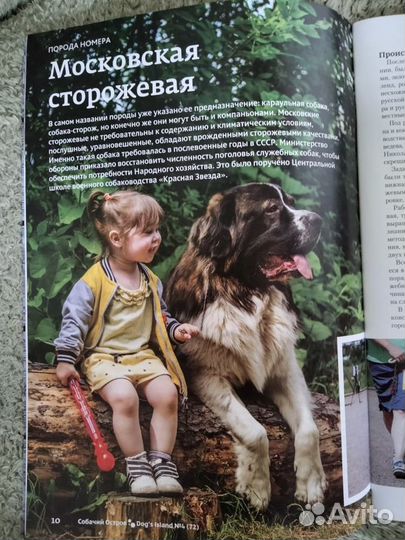 Московская сторожевая