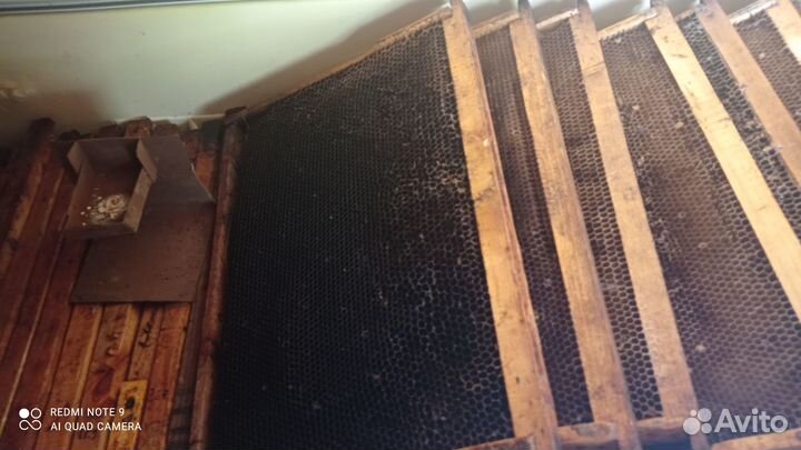 Продам ульи для пчел