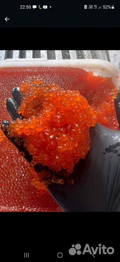 Рыба и морепродукты