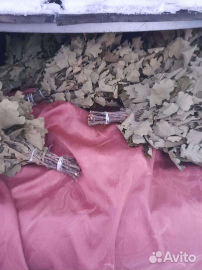 Веники берёза