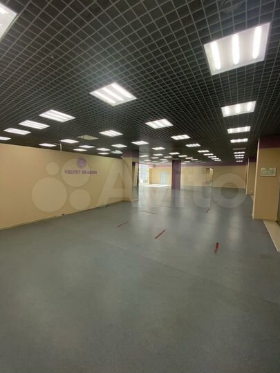 Торговая площадь, 261.1 м²