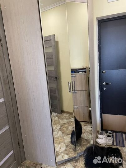 Шкафные зеркальные двери 2м/30см, 2 шт