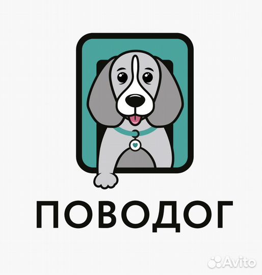 Менеджер по пристройству животных