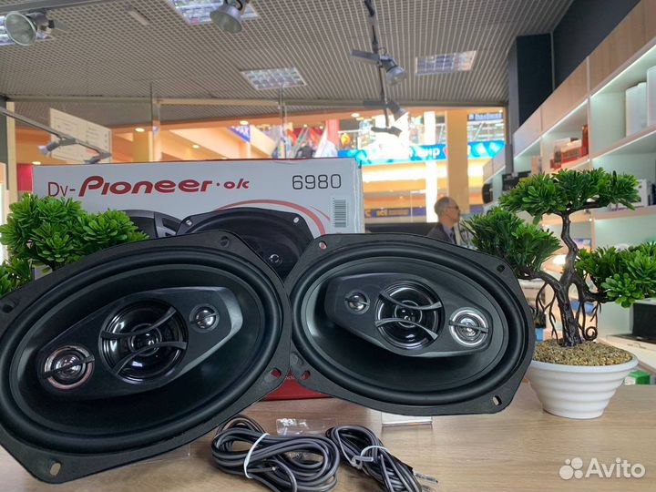 Автомобильные динамики DV-Pioneer.ok 6980