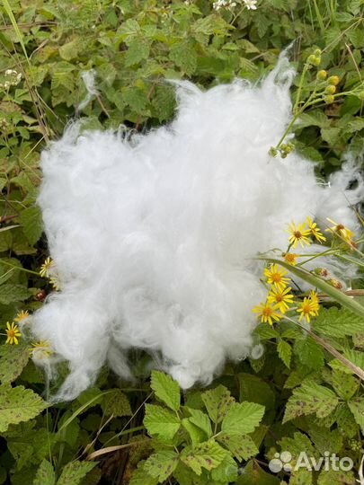 Лебяжий пух