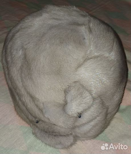 Шапка кремовая норка 56 размер