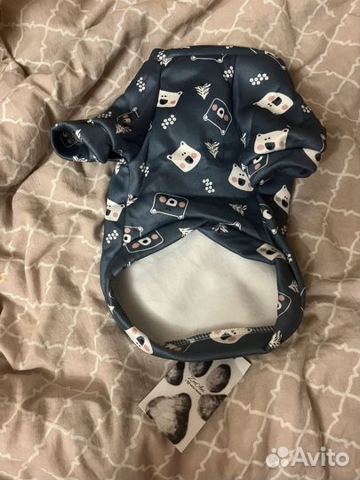 Одежда для собак