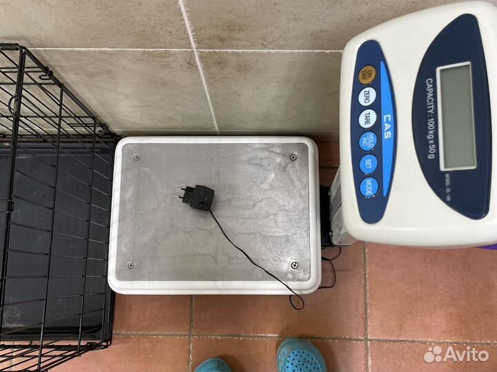 Напольные весы cas dl-100