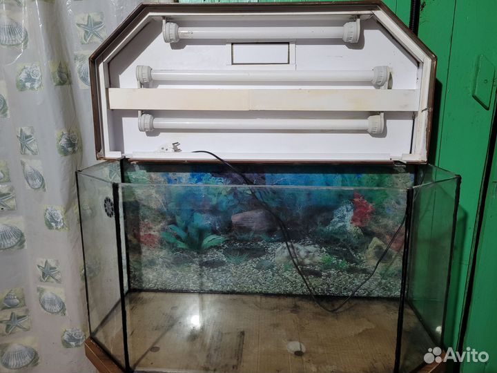 Аквариум