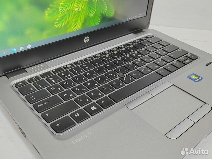Ноутбук SSD AMD HP EliteBook для игр учебы работы