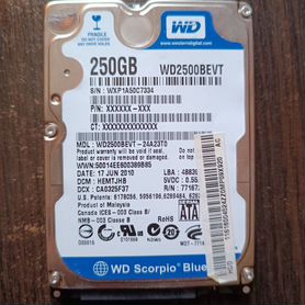 Жёсткий диск HHD 250GB WD blue