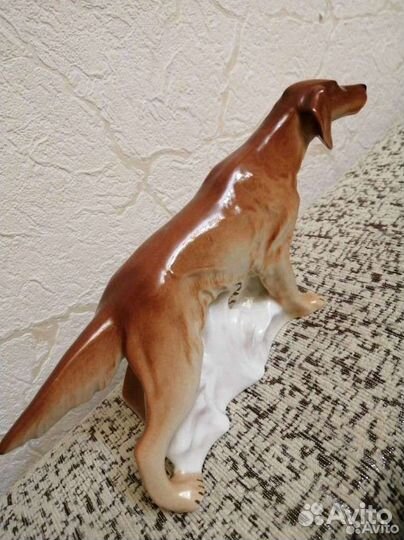 Фарфор, Ирландский Сеттер лфз