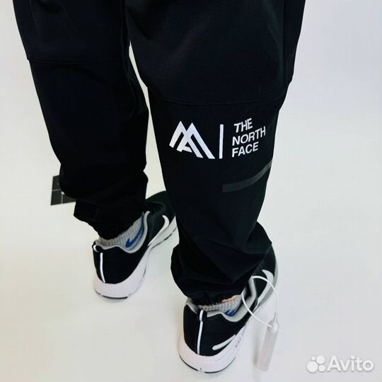 Спортивные штаны The north face