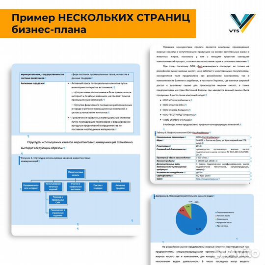 Бизнес-план, финансовая модель, презентация, тэо
