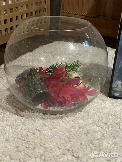 Продам аквариумы