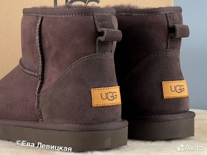 Угги мужские Ugg Mens Classic Mini II Chocolate