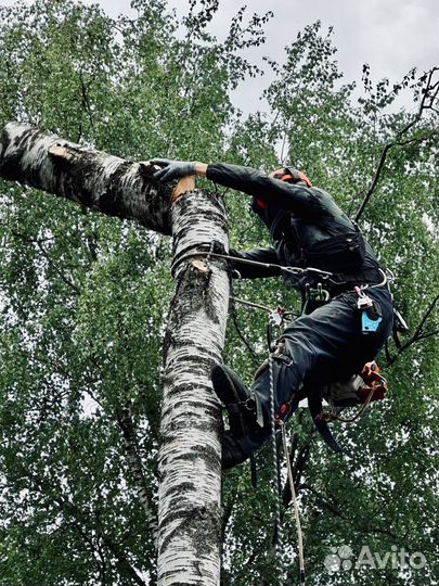 Спил деревьев г. Серпухов