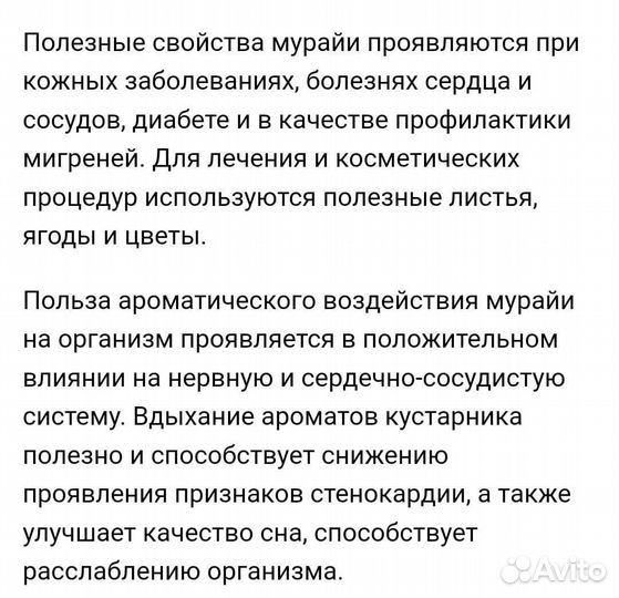 Мурайя