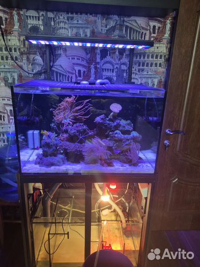 Аквариум на заказ