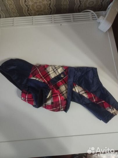 Поводок и комбинезон для мелких собак