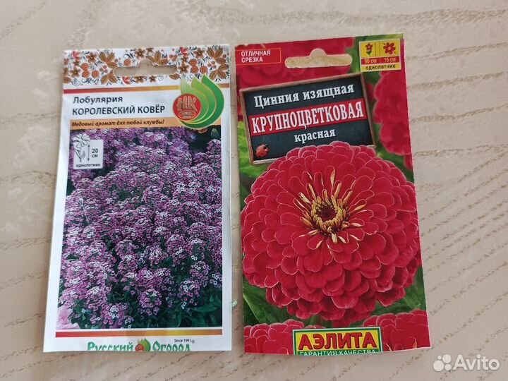 Однолетние цветы