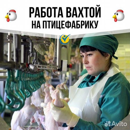 Вакансия на птицефабрике: комплектация заказов
