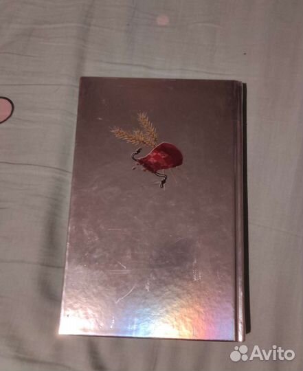 Волчица и пряности ранобэ 1 том