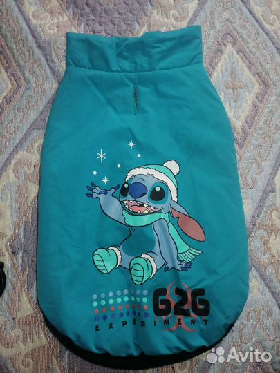 Одежда для собак