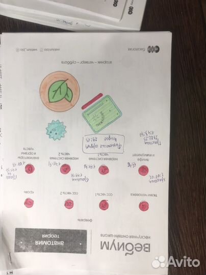 Биология ЕГЭ конспекты