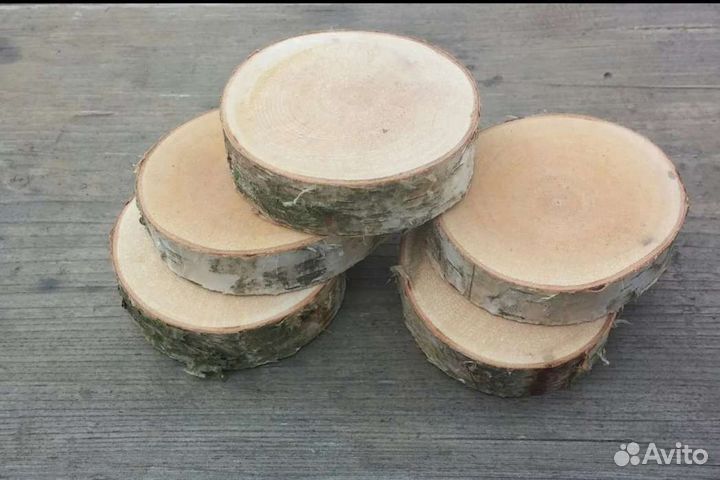 Спилы дерева (береза)