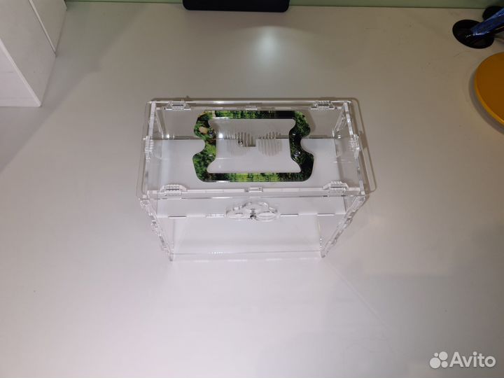 Муравьиная ферма