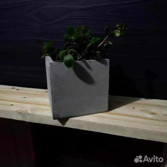 Вазоны, Горшки, Кашпо под заказ из бетона