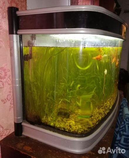 Аквариум