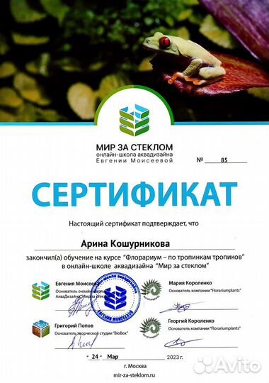 Террариум, флорариум тропический, полюдариум