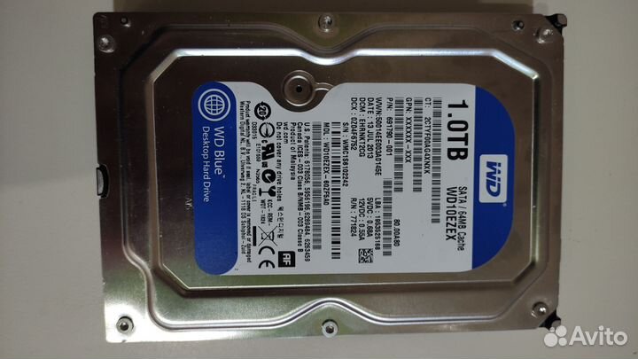 Hdd WD blue 1tb