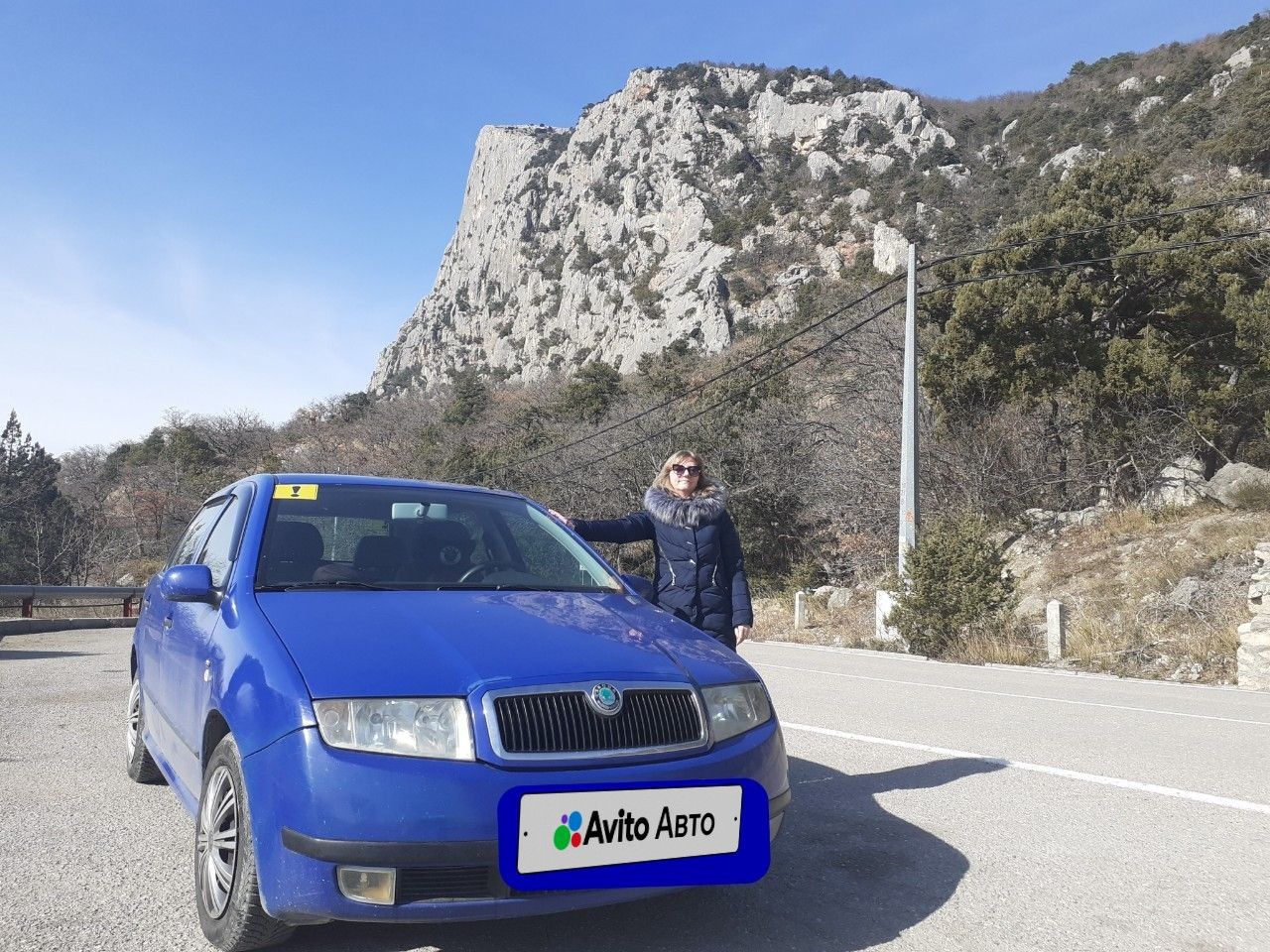 Skoda Fabia: фото владельца