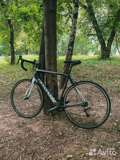 Шоссейный велосипед cannondale synapse carbon