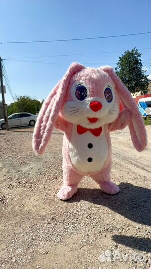 Поздравление от зайки