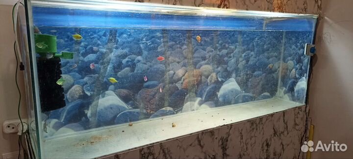 Аквариум
