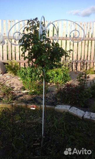 Барашек опора поддержка для штамбовых роз