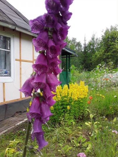 Дача 25 м² на участке 12 сот.