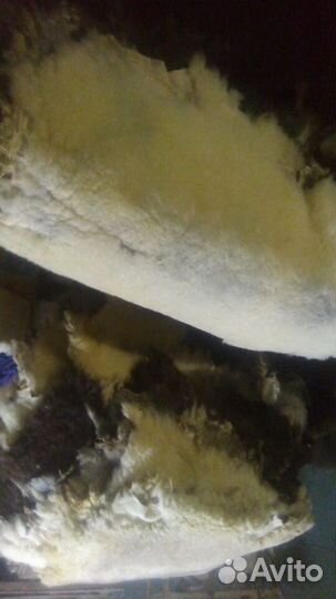 Выделка шкур