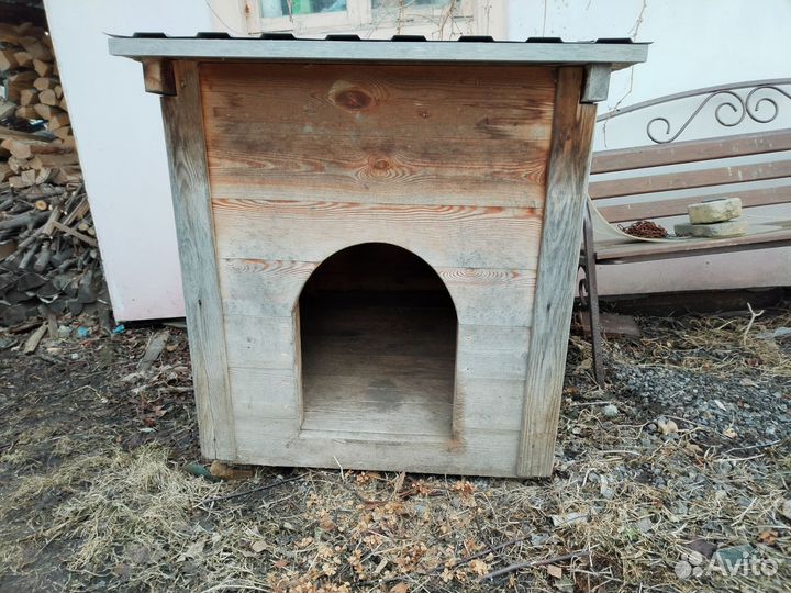 Собачья будка