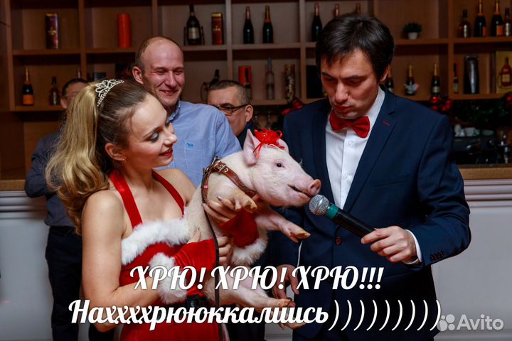 Ведущий/Тамада