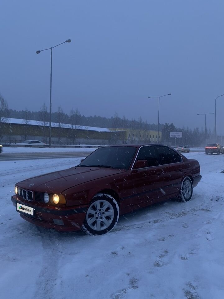 BMW 5 серия: фото владельца