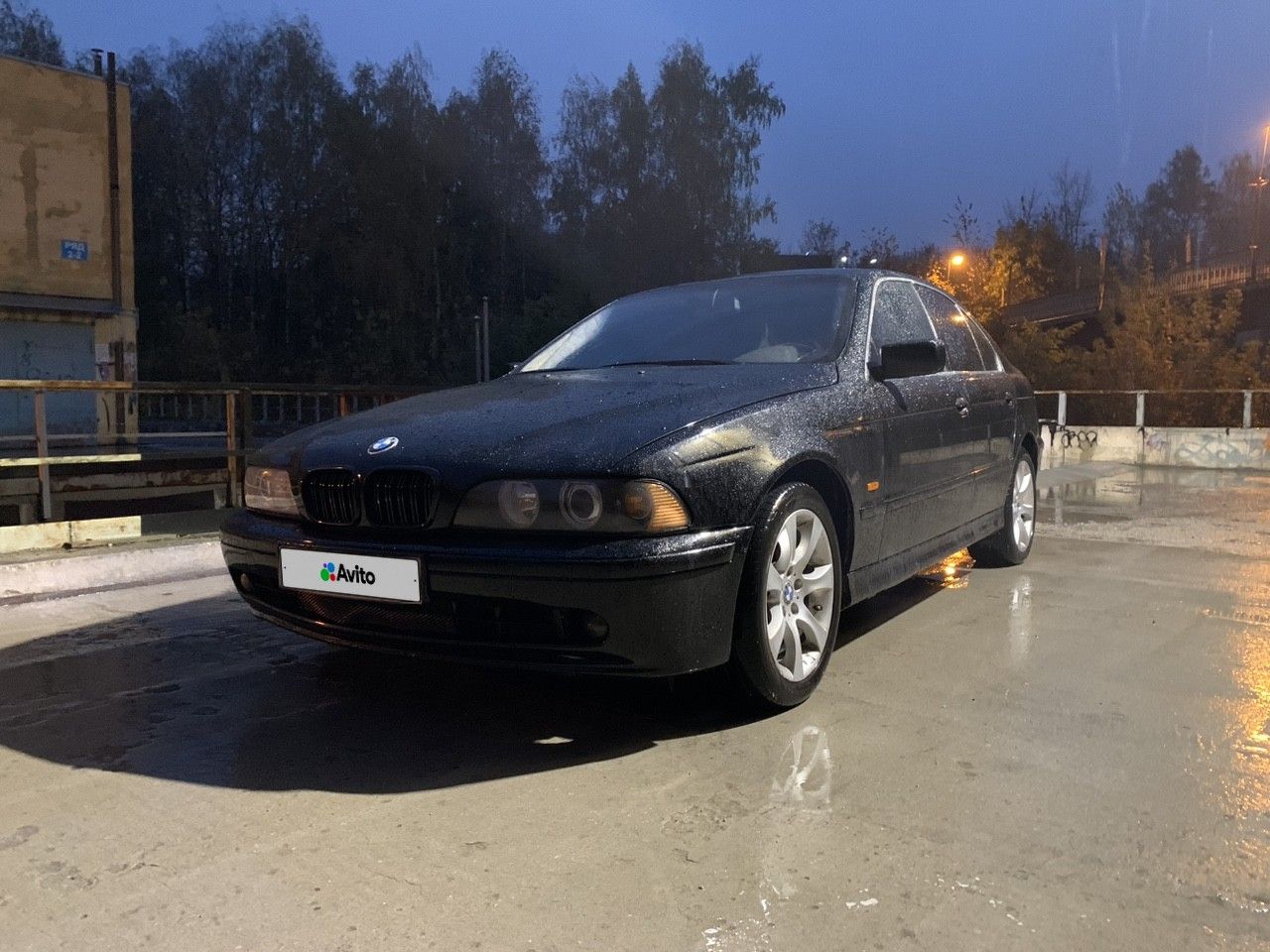 BMW 5 серия: фото владельца