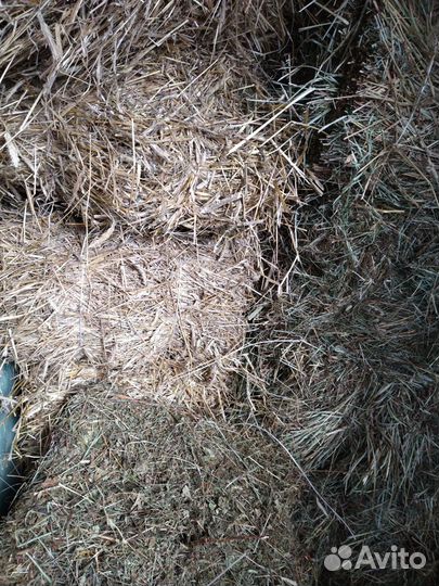 Сено в тюках, в мешках, солома