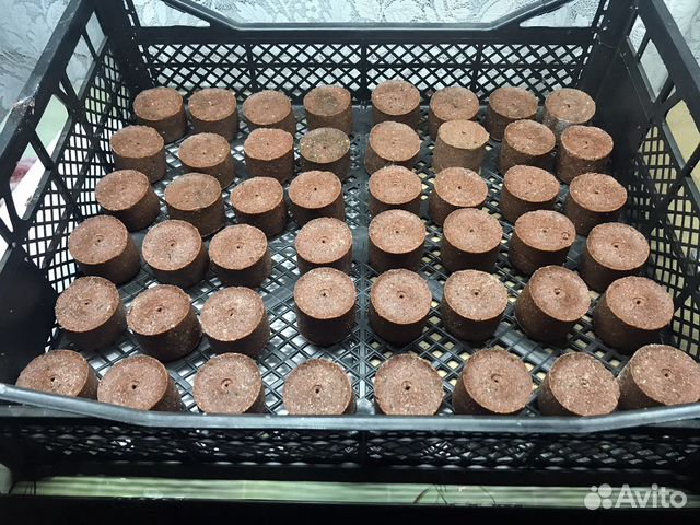 Жмых для рыбалки