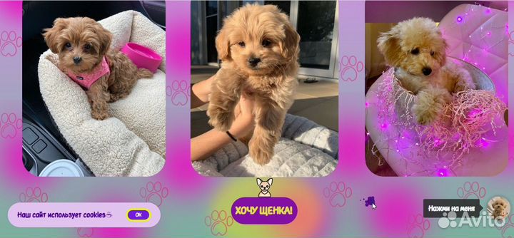 Создание сайта лендинга